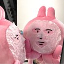 온유안경 | 부산 에스테틱 | 온유에스테틱 | 테라노바관리 | 찐후기
