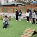 플레이협동조합