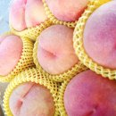조치원농협하나로마트 이미지