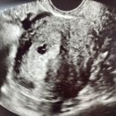 삼성제일산부인과의원 이미지