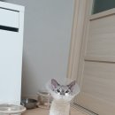 건우동물병원 이미지