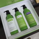 워시에브리데이 | 집들이선물하기 좋은 에브리데이폼폼 말차 샴푸 헤어컨디셔너 바디클렌저 선물세트