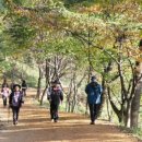 계족산 황톳길 이미지