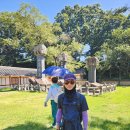 거창 서출동류 물길 트레킹 이미지