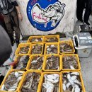 영복1호 이미지