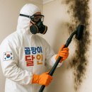 수현동물병원 | 원룸 곰팡이 제거 완벽 가이드 🧽