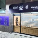 머리애 이미지