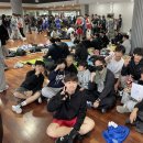 복싱바이러스 이미지