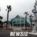 제주건강과 性 박물관 이미지