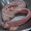 장어세상 이미지