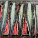 선운산풍천장어 이미지