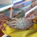 후포항 수산 이미지