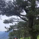 청마방하공방