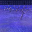 강진미술관 이미지