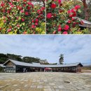 쌈지공원관광안내소 이미지