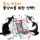 치킨사냥 | 입짧은 뚱냥이가 선택한 힐스 인도어 치킨 고양이사료 솔직후기