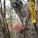 (주)태영오일 이미지