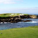 코자이너 이미지