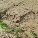 닛시농장 이미지