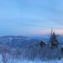 삼대닭갈비 이미지