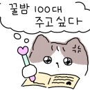 더홀릭보드게임카페창원상남점