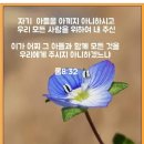 요한계시록22 이미지