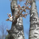 가장자리 이미지