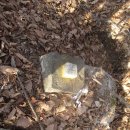 금곡초교-1구간 이미지