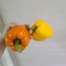 (주)파프리카랩 이미지