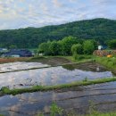 퇴촌면-5 이미지