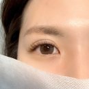 약수역 속눈썹 연장 세심한 [네일리앤래쉬] 방문 후기