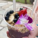 와이키키 | 하와이 신혼여행 섬투어 쉐라톤와이키키 후기