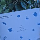 그림책 테라피 엄마 먼저 그림책 이미지