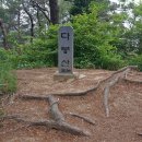 제1297차(목)2/19다불산꺼먼재산봉화산접성산경북/구미 이미지