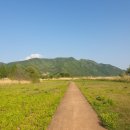 삼랑진약국 이미지