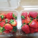 죽향민박 이미지