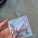조이래쉬바