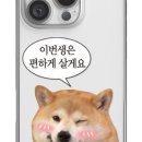 찐케이스
