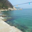 솔섬민박 이미지