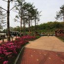 중랑캠핑숲공원 이미지
