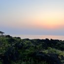라데나 제주 네이버블로그