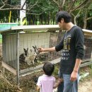 현기농장 이미지