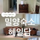 안인로 | [밀양 숙소] 내돈산 ‘혜일담’ 독채숙소 | 단체숙소추천(최대10명) | 이번에도 성공!!!