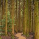 10월16일(목)~20일(월) 한라산둘레길 1~8코스 트레킹 이미지