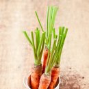 생활슈퍼 이미지