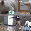 토리농장 이미지