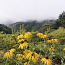 흙집 쉼 | 자연을 즐기기 위한 하동 펜션 지리산흙집세상