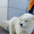 라파동물병원 | 유기동물보호관리시스템>「동물보호법」 제17조, 같은 법 시행령 제7조 및 같은 법 시행규칙 제20...