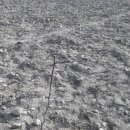 진혁농장 이미지