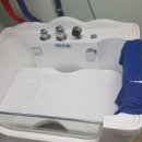 개나리 멍멍 이미지